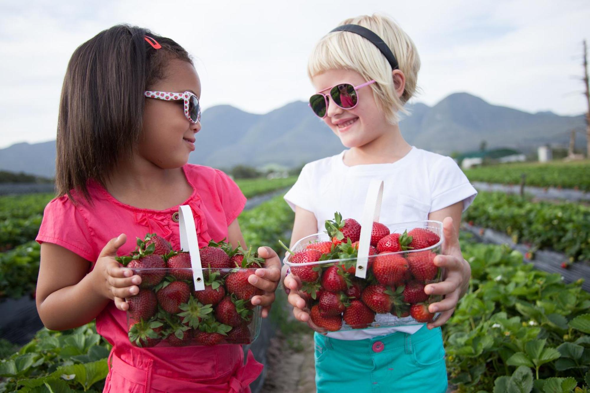 ジョージ Redberry Farmヴィラ エクステリア 写真